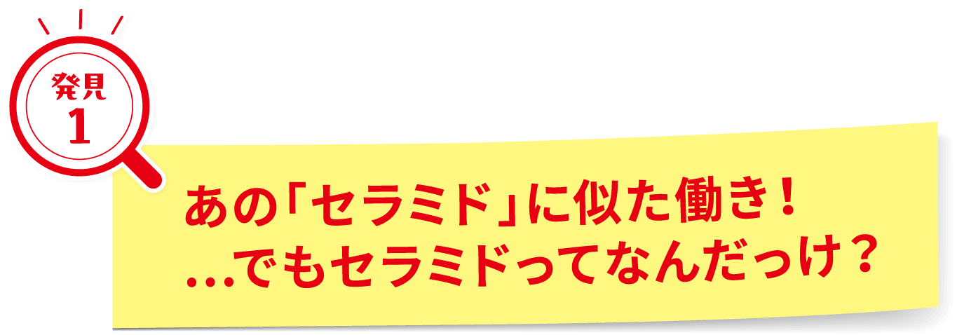 あの「セラミド」に似た働き！…でもセラミドってなんだっけ？