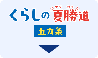 くらしの”夏勝”道 五か条