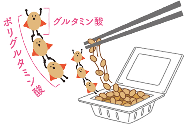 ＼ビフィズス菌の救世主！／