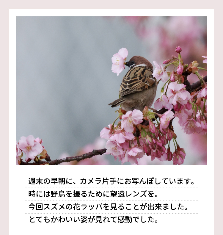 味の素ダイレクト（株） - 読みもの - 皆様からのご投稿写真紹介！お