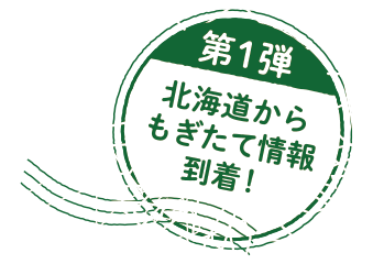 第1弾