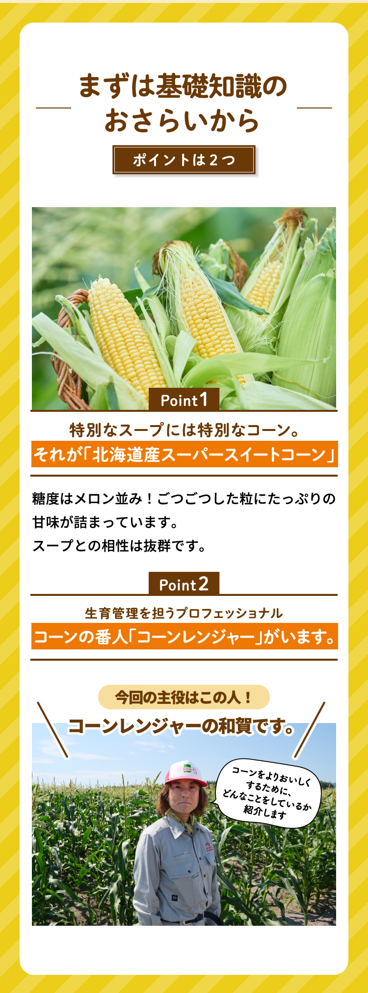 まずは基礎知識のおさらいから