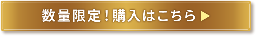 数量限定!購入はこちら