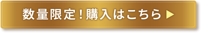 数量限定!購入はこちら