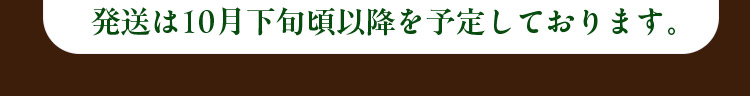 発送は10月下旬頃以降を予定しております。